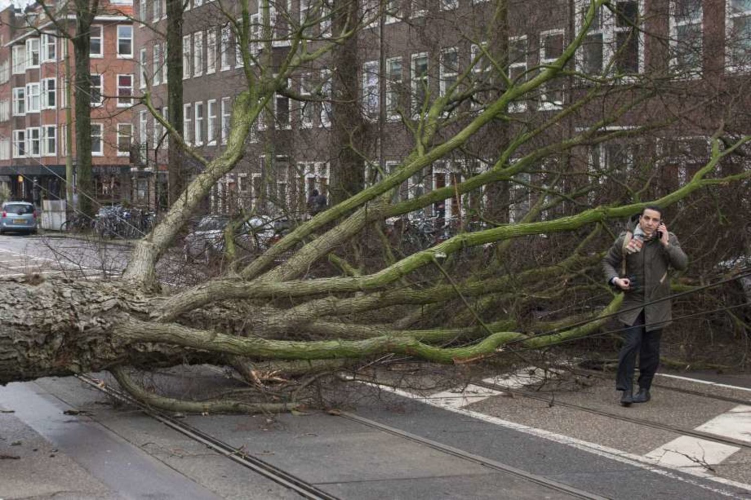 A man who escaped unharmed makes a phone call after his scooter was hit by a crashing tree uprooted by heavy winds in Amsterdam, Netherlands, Thursday, Jan. 18, 2018. Photo: AP Photo/Peter Dejong