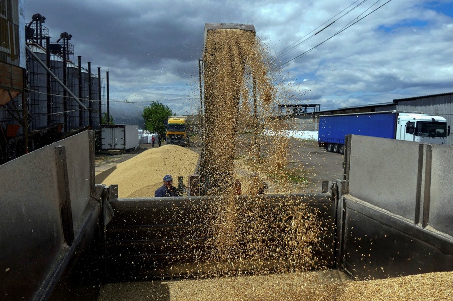A worker loads a truck with grain at a terminal during barley harvesting in Odesa region, as Russia's attack on Ukraine continues, Ukraine June 23, 2022. (Reuters)