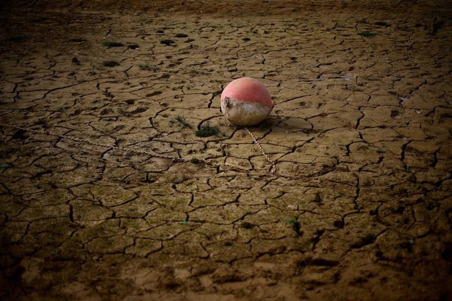 A buoy is seen on the banks of the partially dry Lake Montbel at the foot of the Pyrenees Mountains as France faces records winter dry spell raising fears of another summer of droughts and water restrictions, March 13, 2023. (Reuters)  