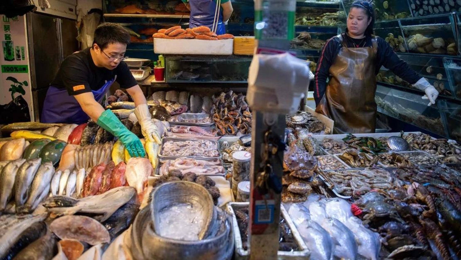 Workers prepare a stall filled with seafood at a market in Beijing on July 10, 2019. (AFP) 