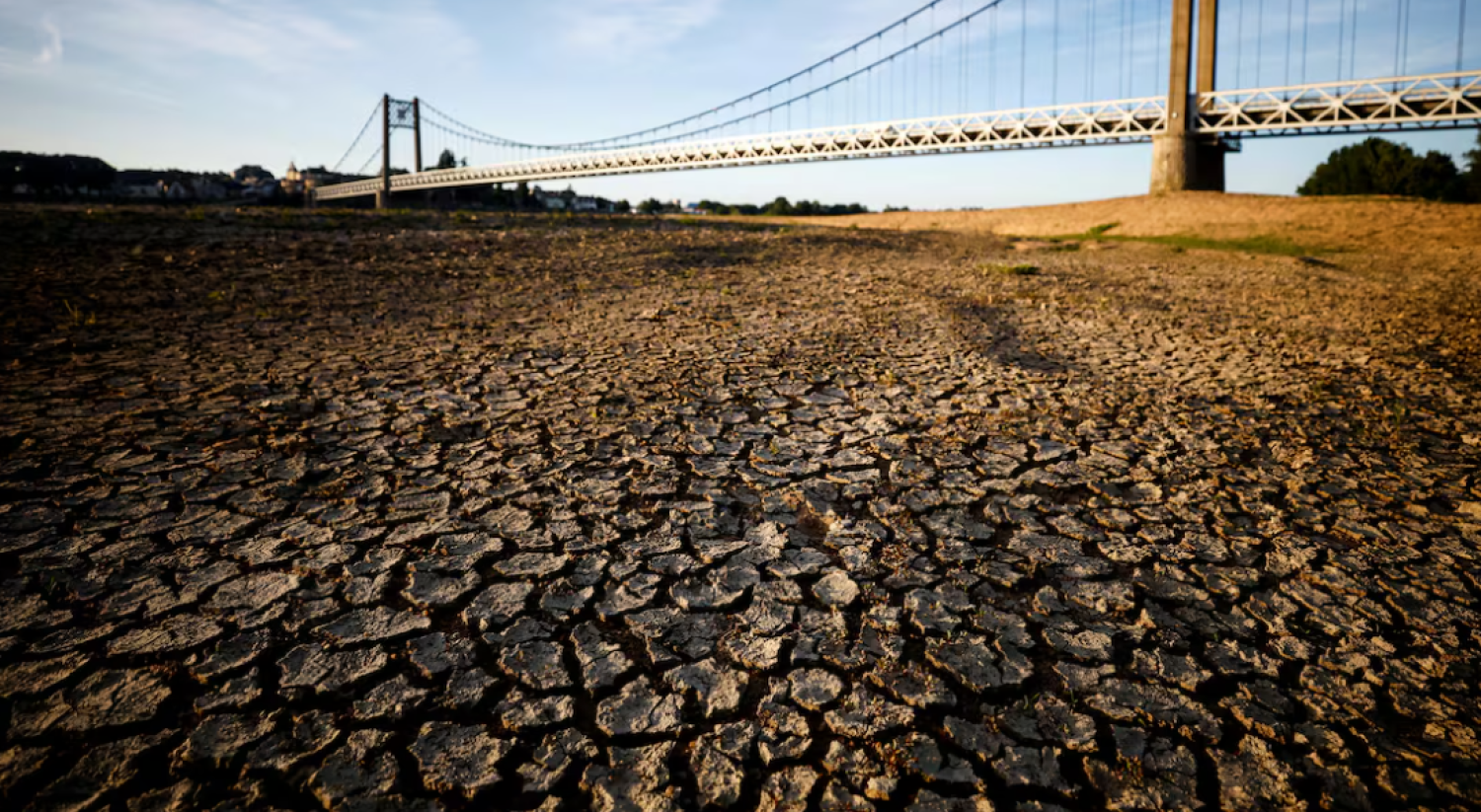 Cracked and dry earth is seen in the wide riverbed of the Loire River near the Anjou-Bretagne bridge as a heatwave hits Europe, in Ancenis-Saint-Gereon, France, June 13, 2022. REUTERS/Stephane Mahe/File Photo Purchase Licensing Rights