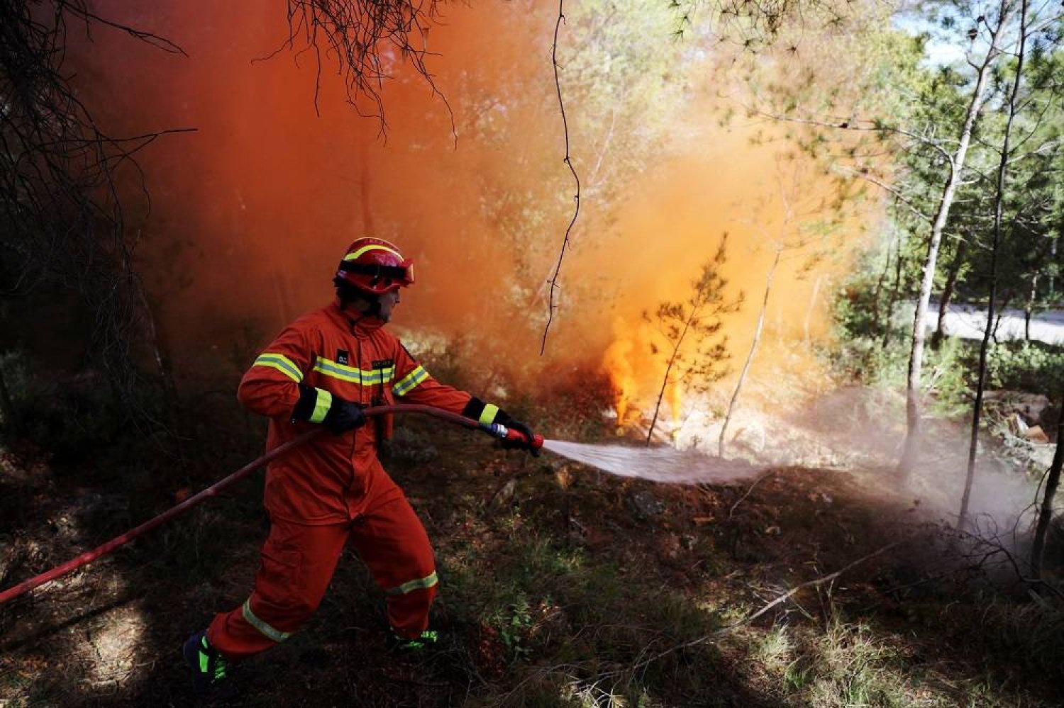 Representation photo: A firefighter sprays water on smoke grenades during a disaster risk training exercise to effectively deal with wildfires, in Athens, Greece, April 4, 2024. (Reuters)